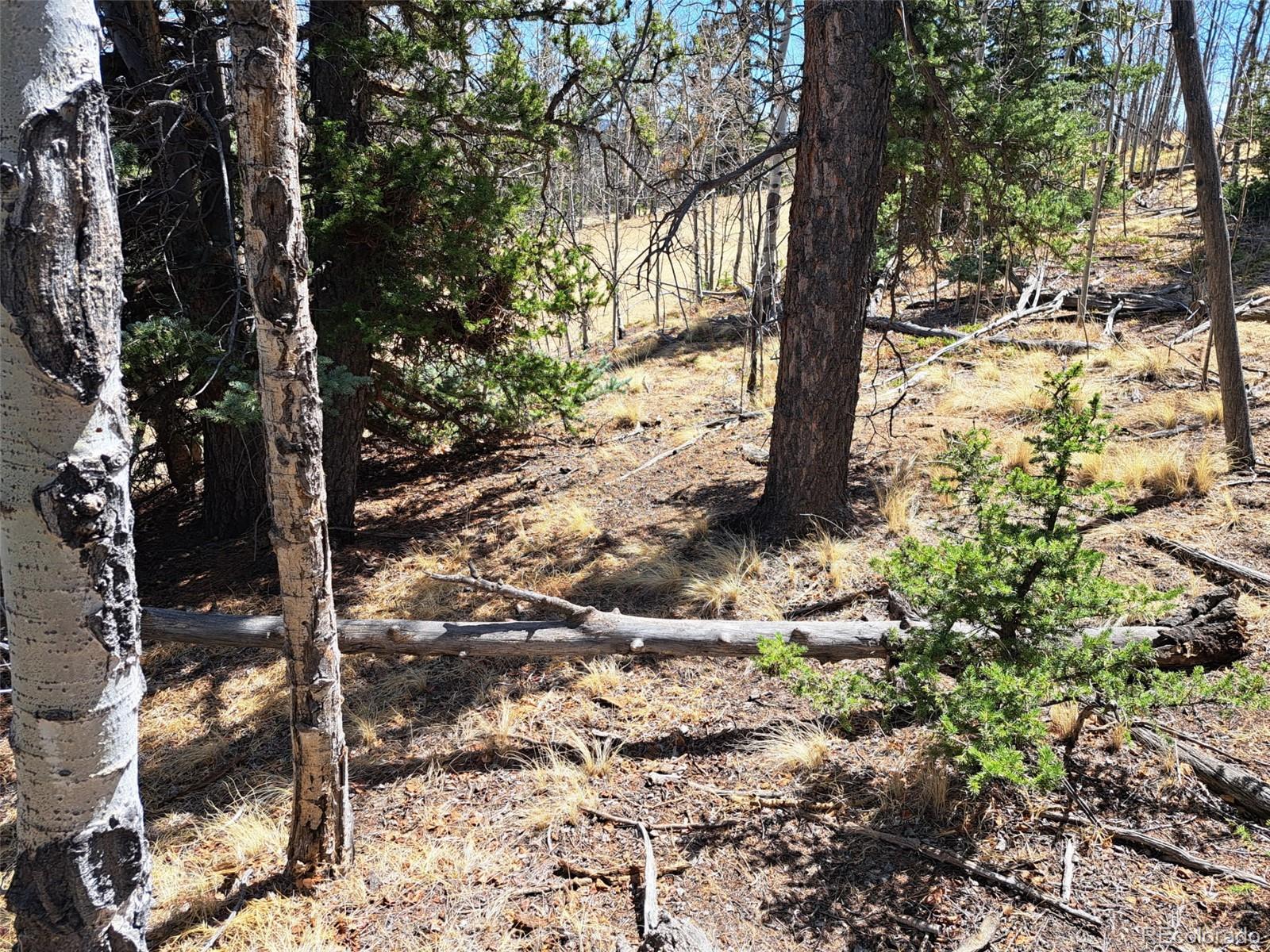 730 Tepee Trail Como, CO 80456 - Photo 14 of 29
