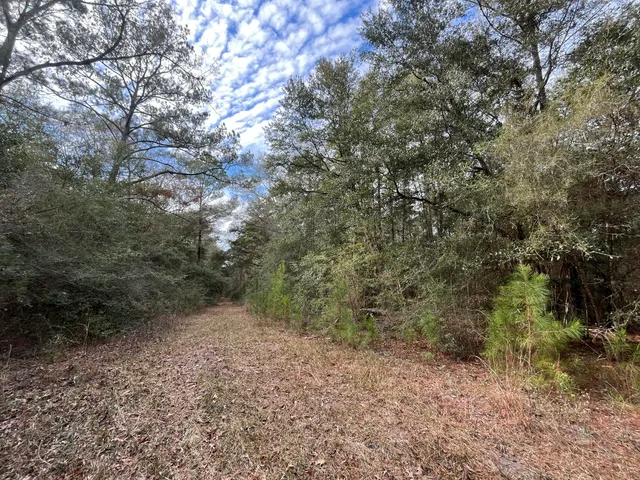 a view of a yard with a fountain