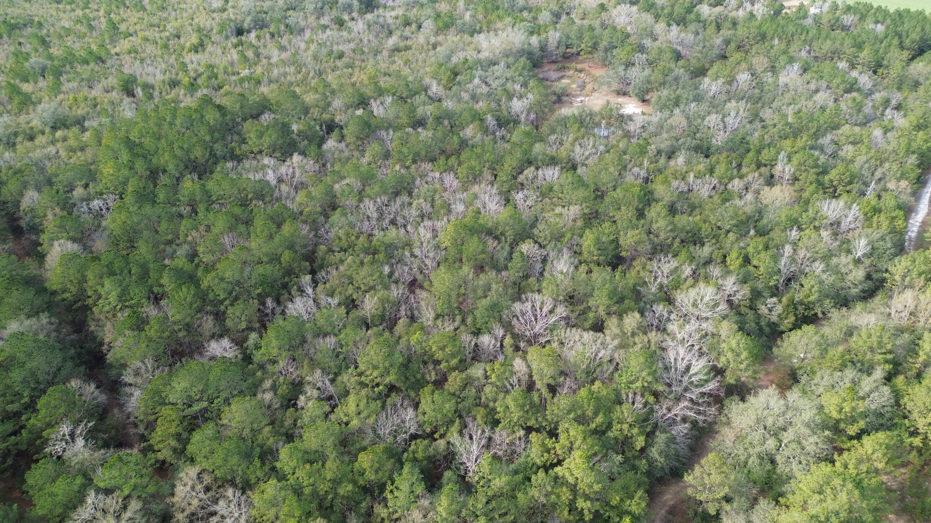 3878A River Road Vernon, FL 32462 - Photo 20 of 25