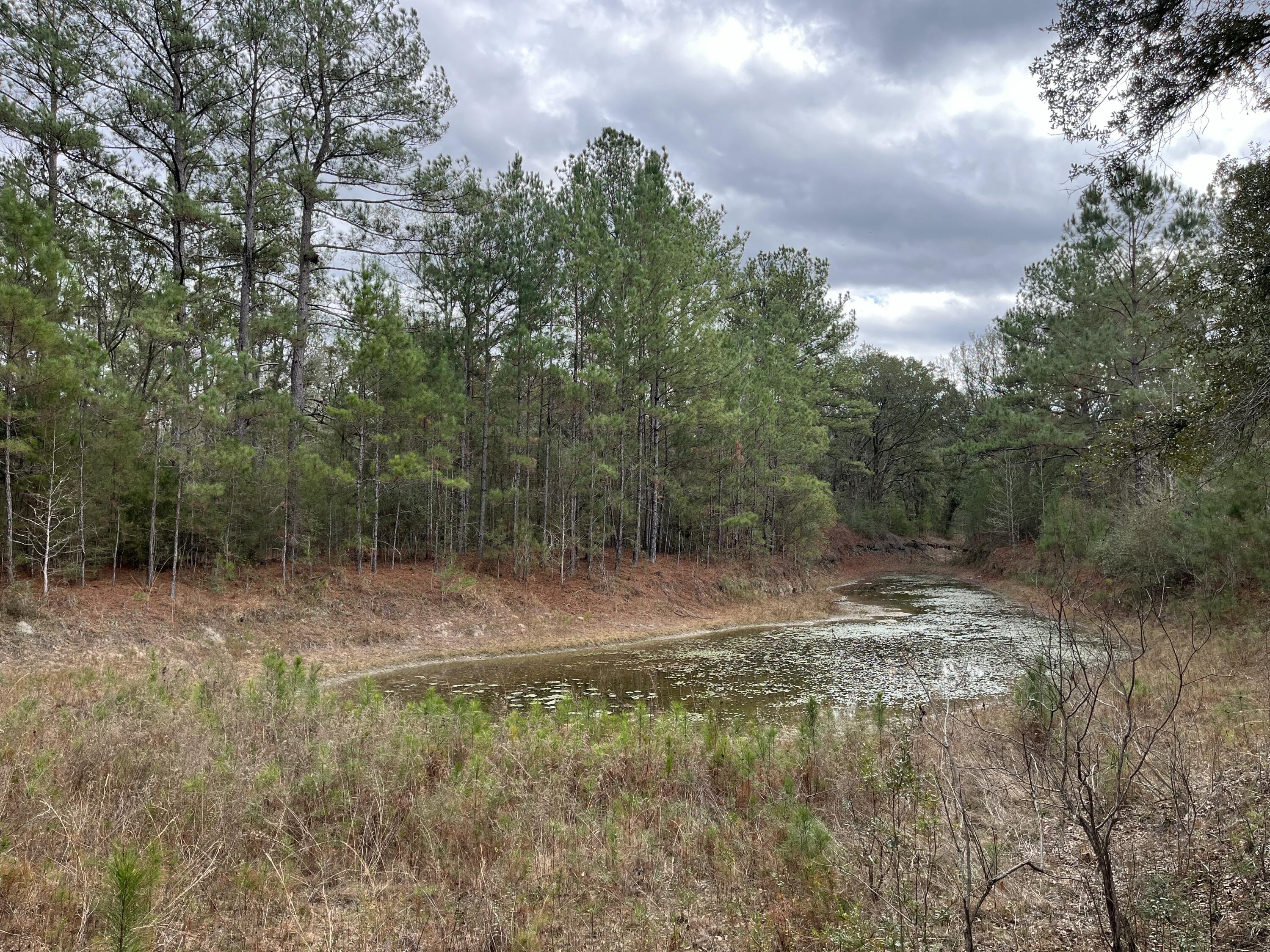 3878A River Road Vernon, FL 32462 - Photo 2 of 25 a view of outdoor space with trees all around
