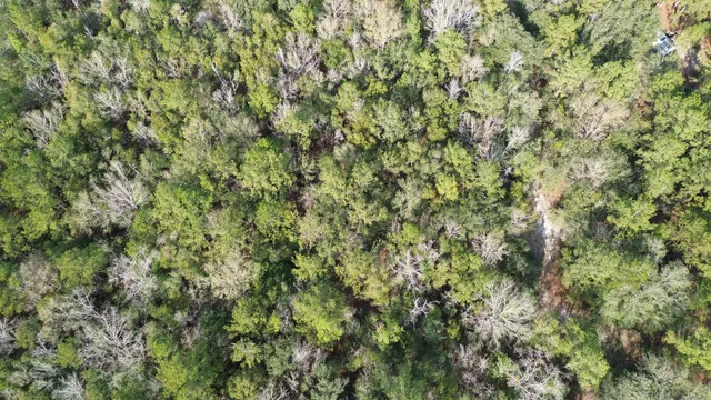 $180,000 | 3878A River Road, Vernon, FL 32462