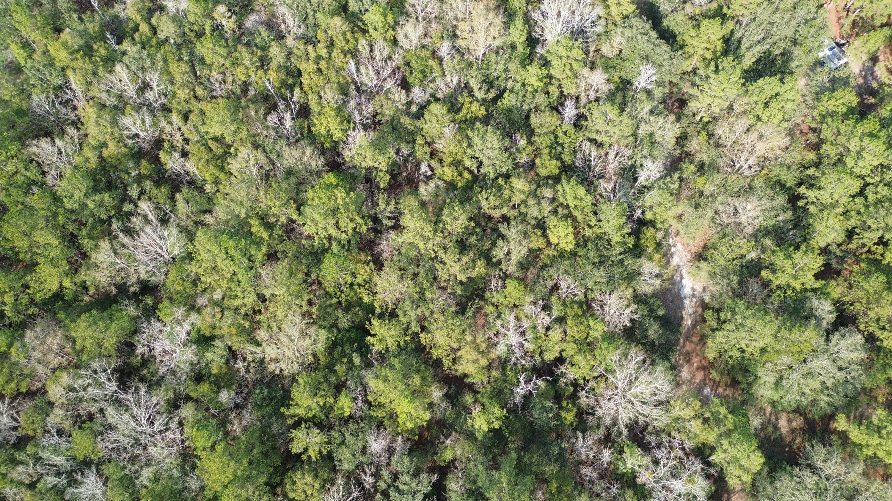 3878A River Road Vernon, FL 32462 - Photo 23 of 25 a view of a lush green field