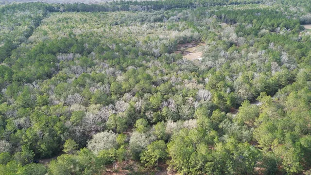 $180,000 | 3878A River Road, Vernon, FL 32462