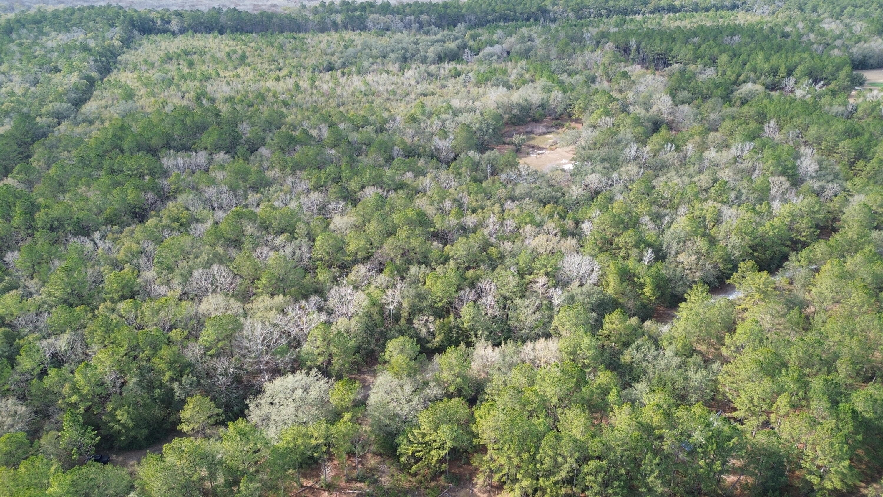 3878A River Road Vernon, FL 32462 - Photo 24 of 25 a view of a field of grass and trees