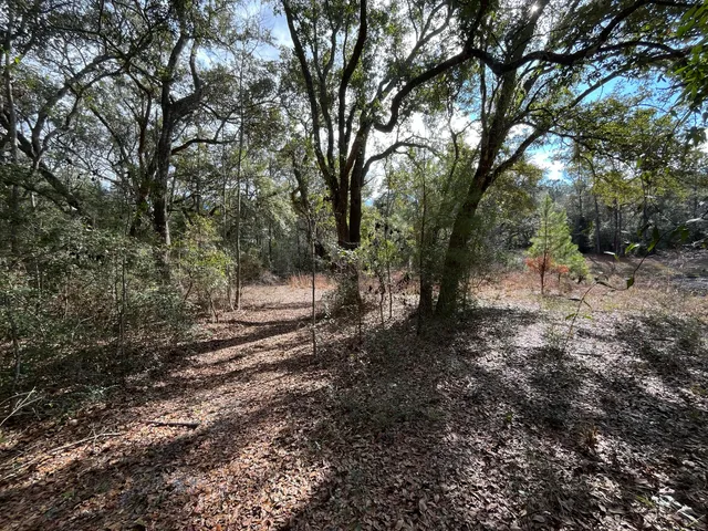a view of outdoor space with green space and trees all around