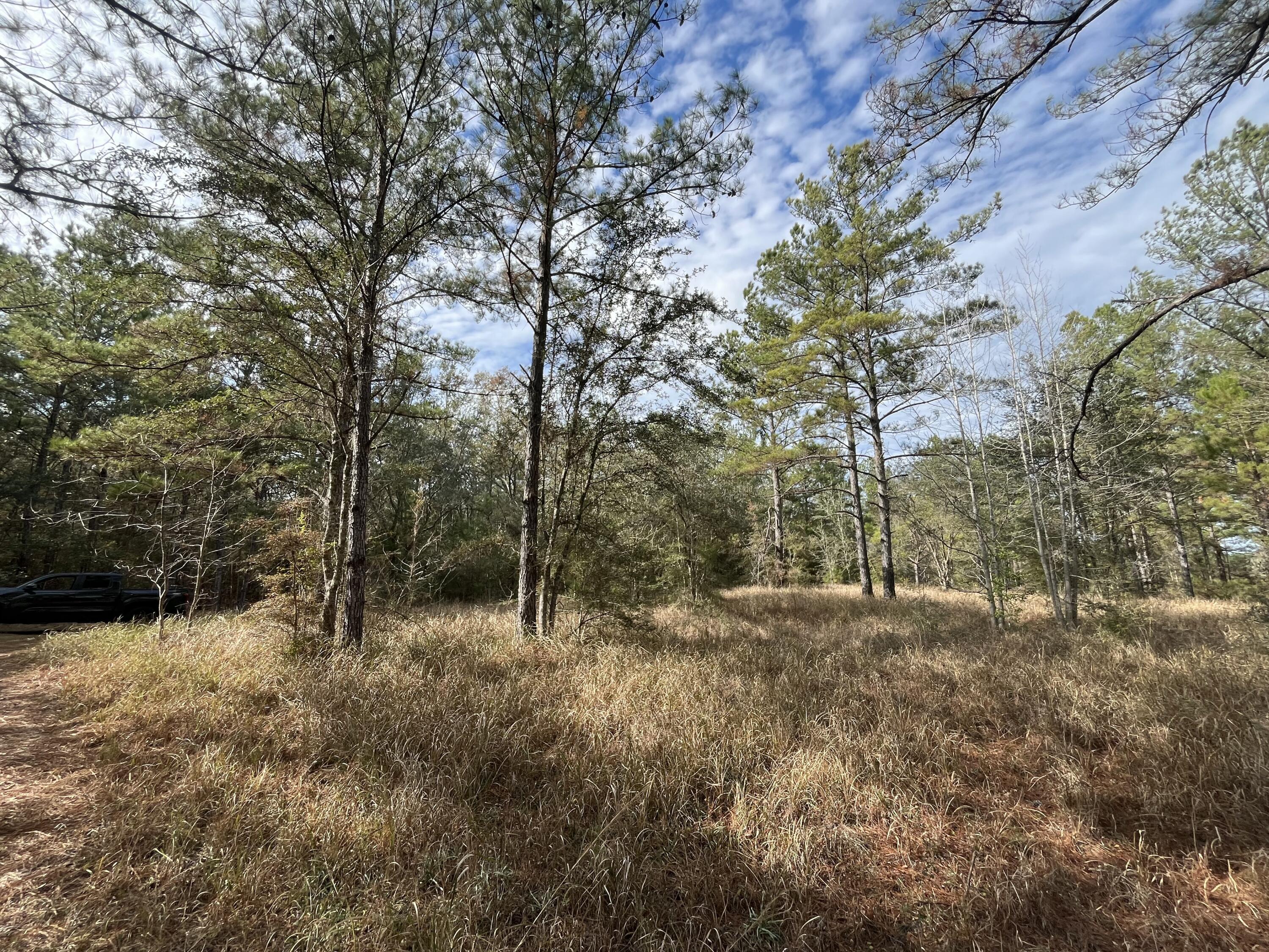 3878A River Road Vernon, FL 32462 - Photo 10 of 25 a view of outdoor space and trees