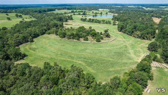 an aerial view of a houses with yard