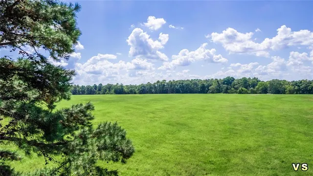 a view of a big yard with potted plants and large tree
