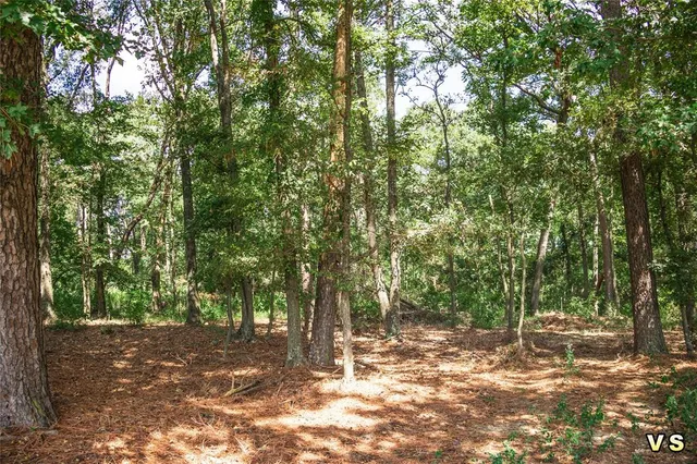 a view of a yard with trees
