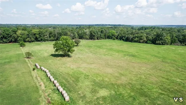 a view of a big yard with large trees