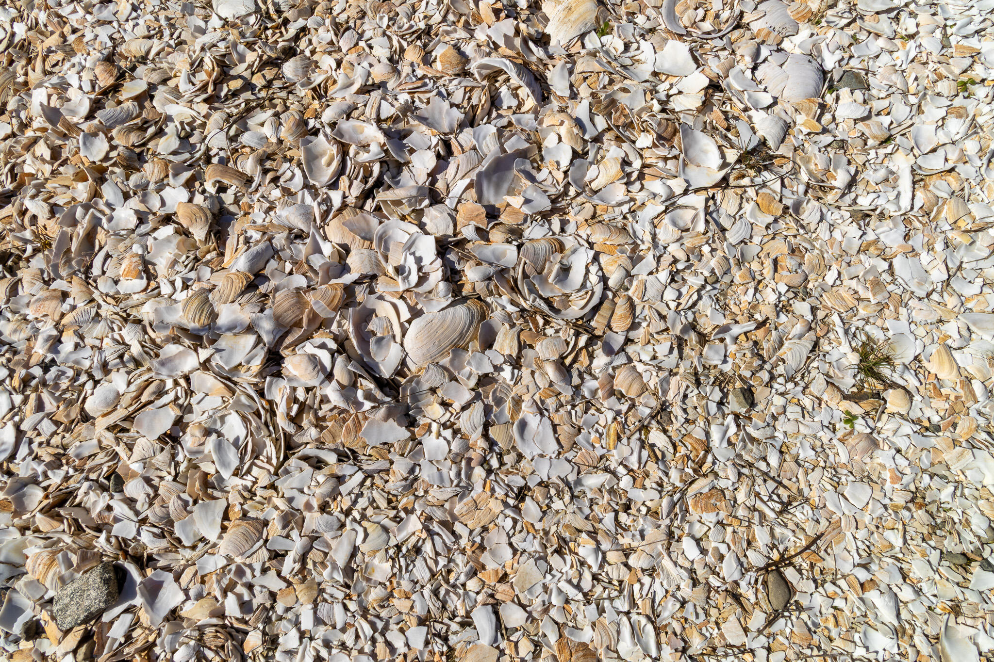 33 Barneys Cove Road Beals, ME 04611 - Photo 37 of 37 25