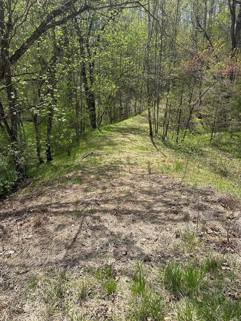 0 Gladys Road Gladys, VA 24554 - Photo 1 of 11 Main View