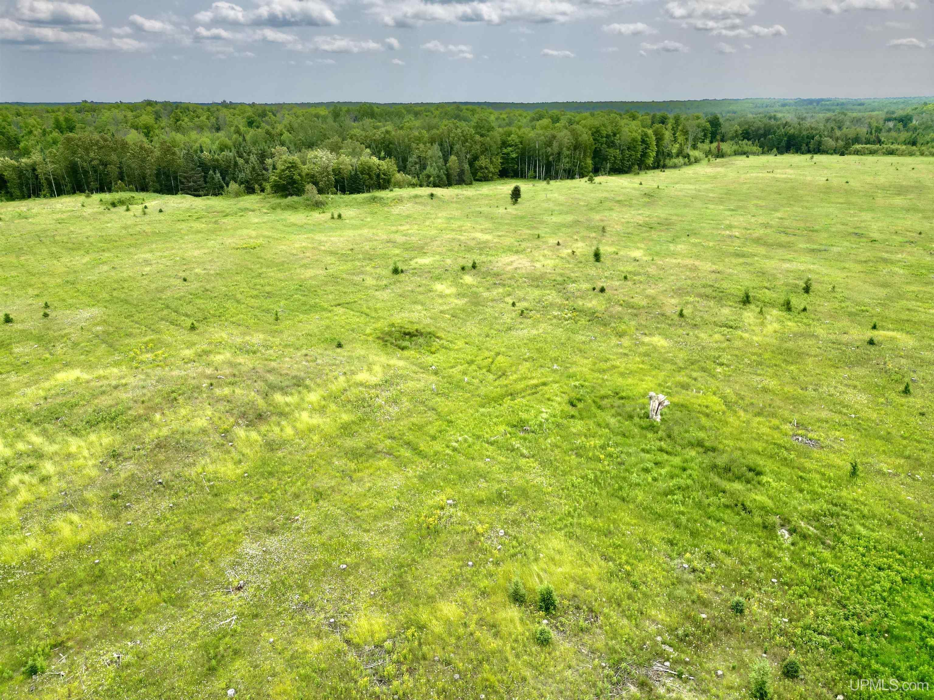 Tbd Tbd Truax Lane Road, Unit 1 Cornell, MI 49818 - Photo 1 of 13