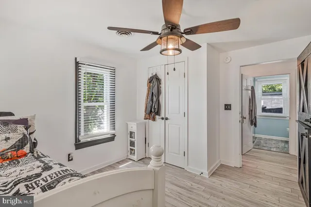 a view of a backyard with potted plants and large tree