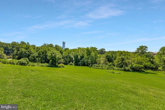 a view of a big house with a big yard plants and large trees