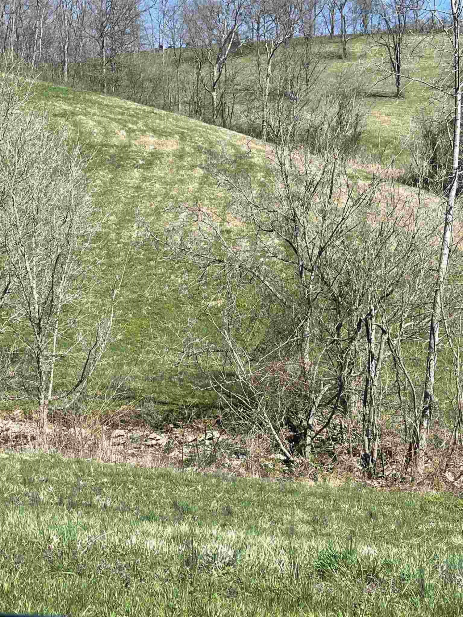 12589 Dickerson Road Walton, KY 41094 - Photo 28 of 30 Gallery Image 28