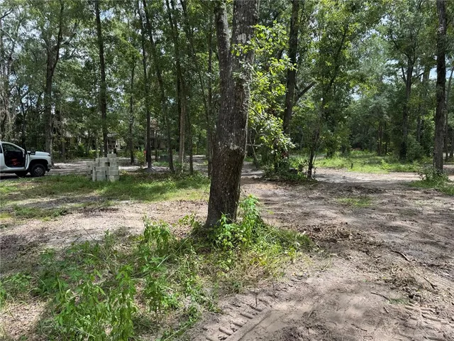 a view of outdoor space with trees all around