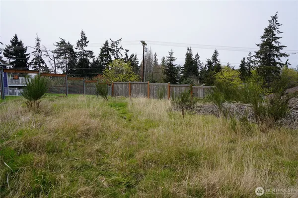 a view of a garden