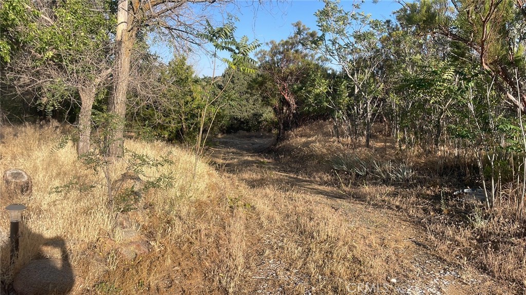 8 Burnt Valley Road Anza, CA 92539 - Photo 3 of 10 driveway