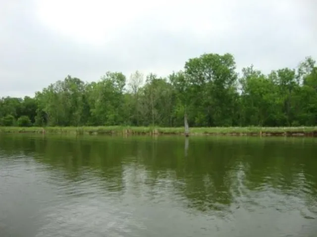 a view of a lake with a yard