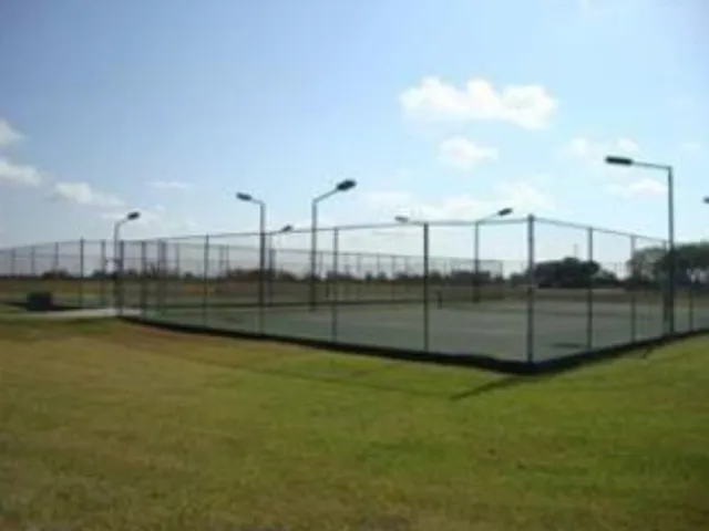 a view of a backyard