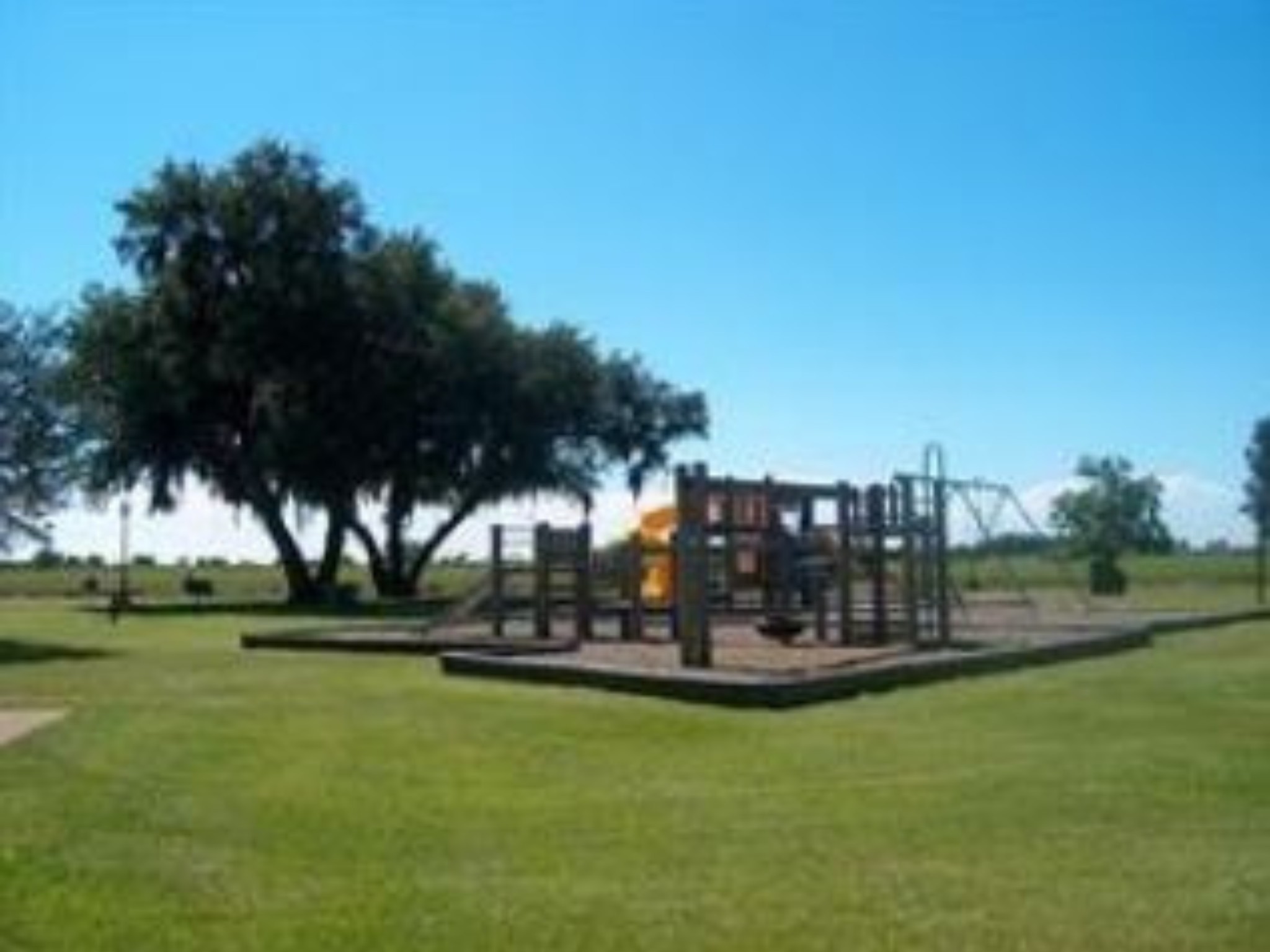 497 Brahman Trail Angleton, TX 77515 - Photo 7 of 15 a view of a park with large trees