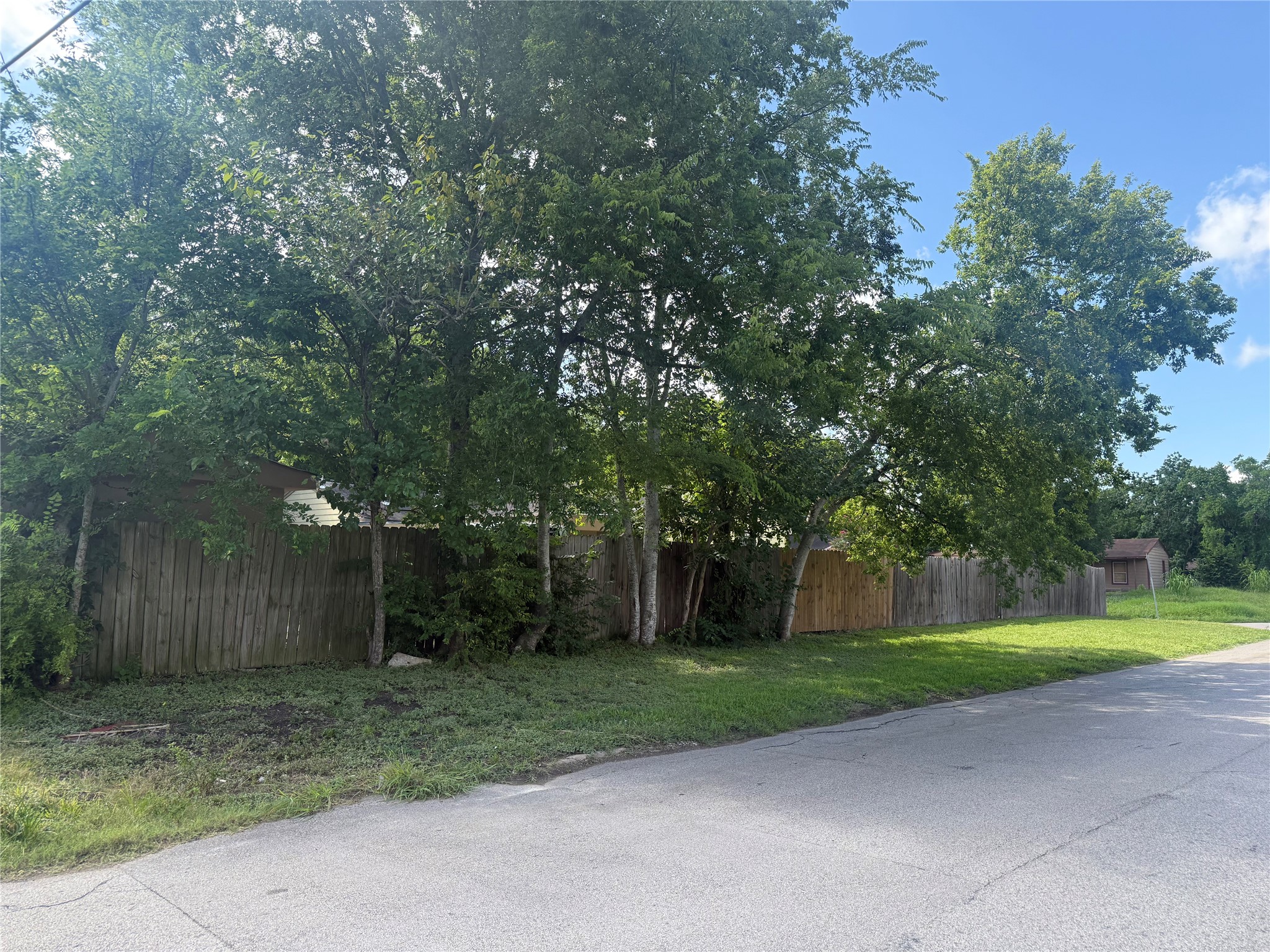 5103 Northridge Drive Houston, TX 77033 - Photo 34 of 39 a view of a yard with plants and tree