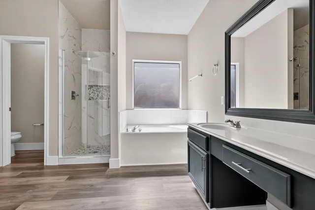 a bathroom with a granite countertop sink mirror and a shower