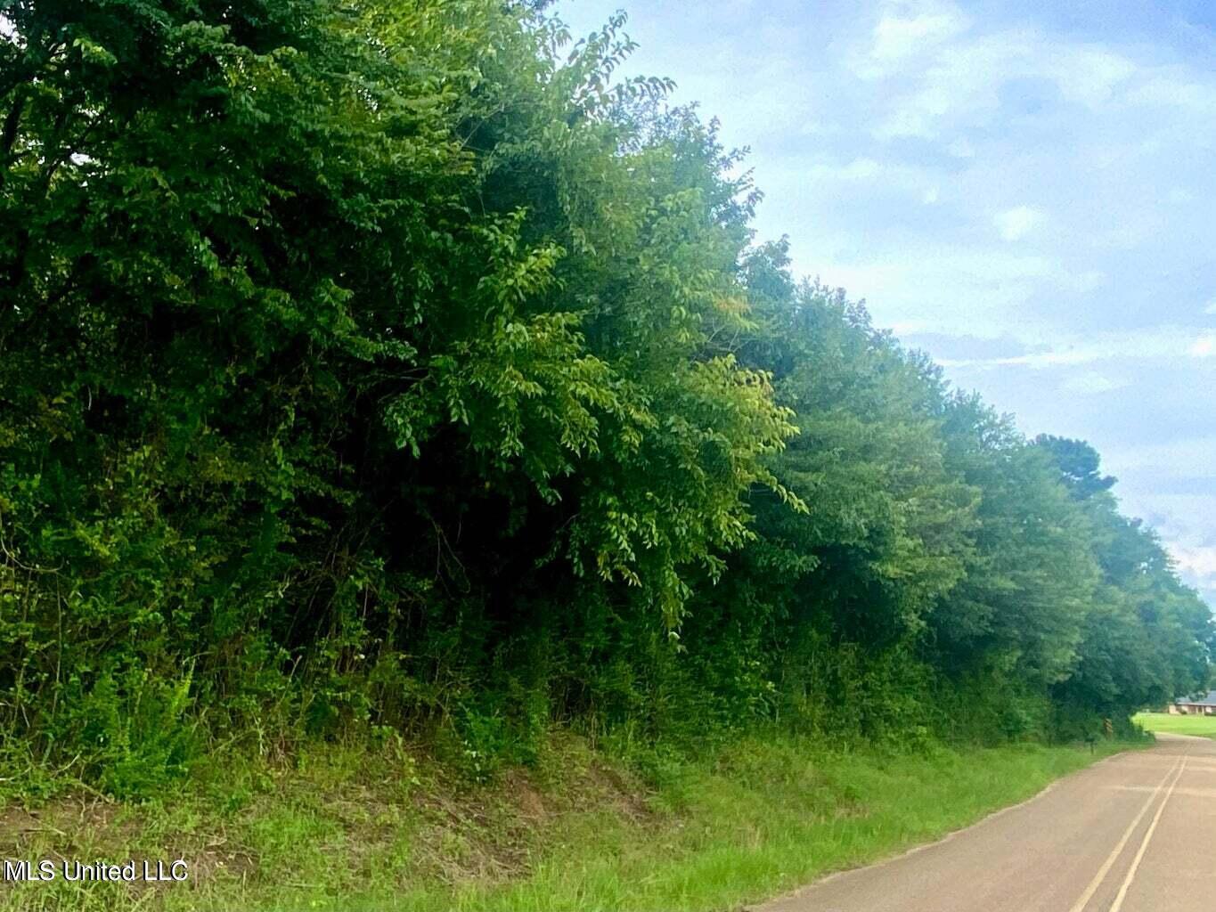 0 Stump Bridge Road Canton, MS 39046 - Photo 2 of 3 STUMP BRIDGE PHOTO 2