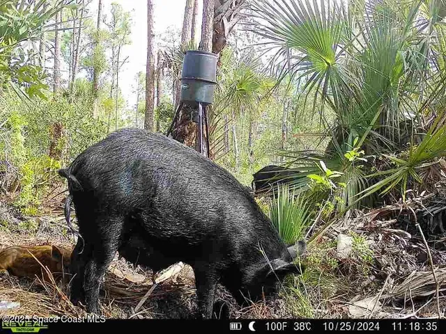 a view of a entryway