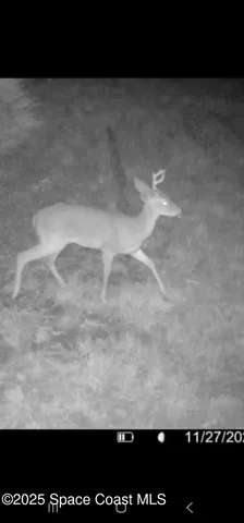 $32,000 | 0 Unknown Avenue, Malabar, FL 32950