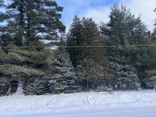 Parcel A Bootjack Road Lake Linden, MI 49945 - Photo 7 of 43 Gallery Image 7