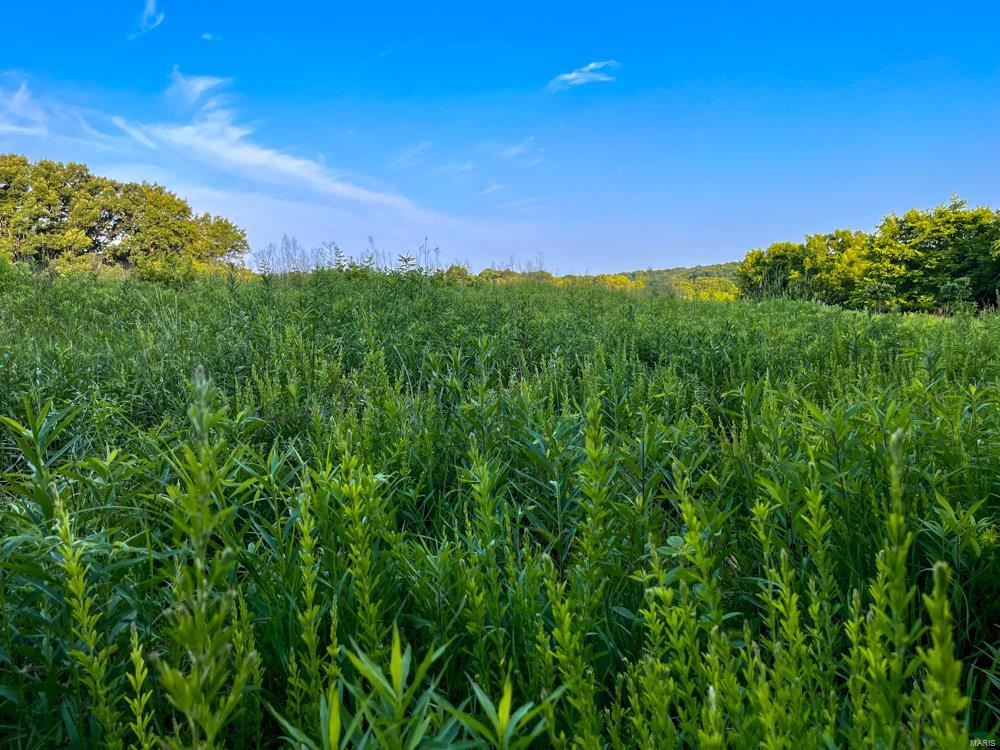 1265 Johnson Hollow Road Nebo, IL 62355 - Photo 53 of 67 Gallery Image 53