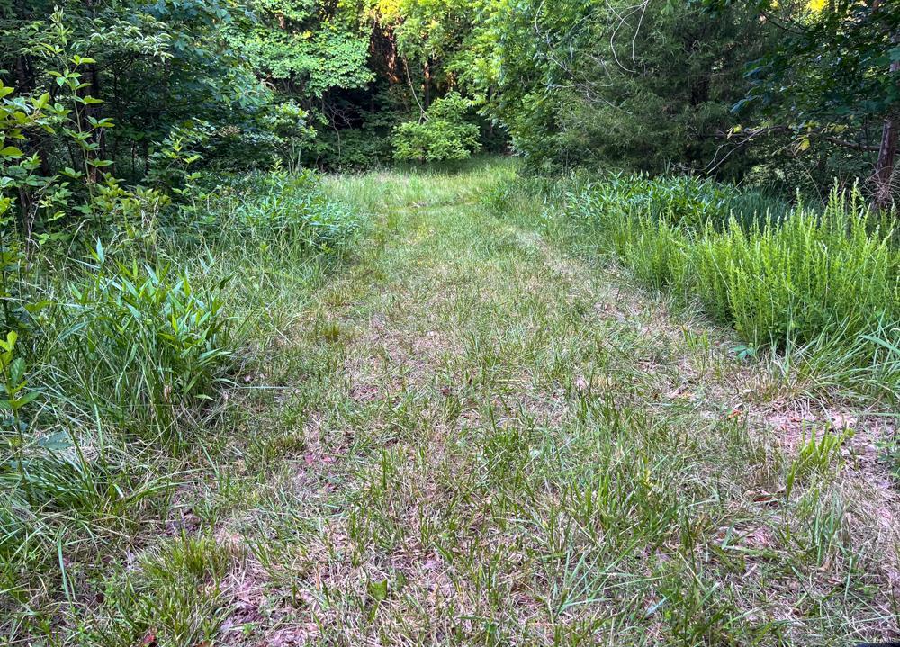 1265 Johnson Hollow Road Nebo, IL 62355 - Photo 57 of 67 Gallery Image 57