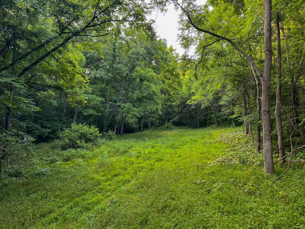 1265 Johnson Hollow Road Nebo, IL 62355 - Photo 59 of 67 Gallery Image 59