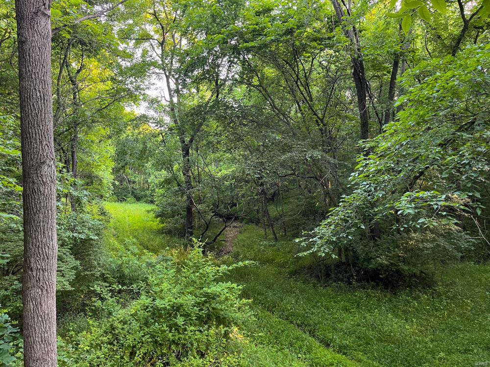 1265 Johnson Hollow Road Nebo, IL 62355 - Photo 60 of 67 Gallery Image 60