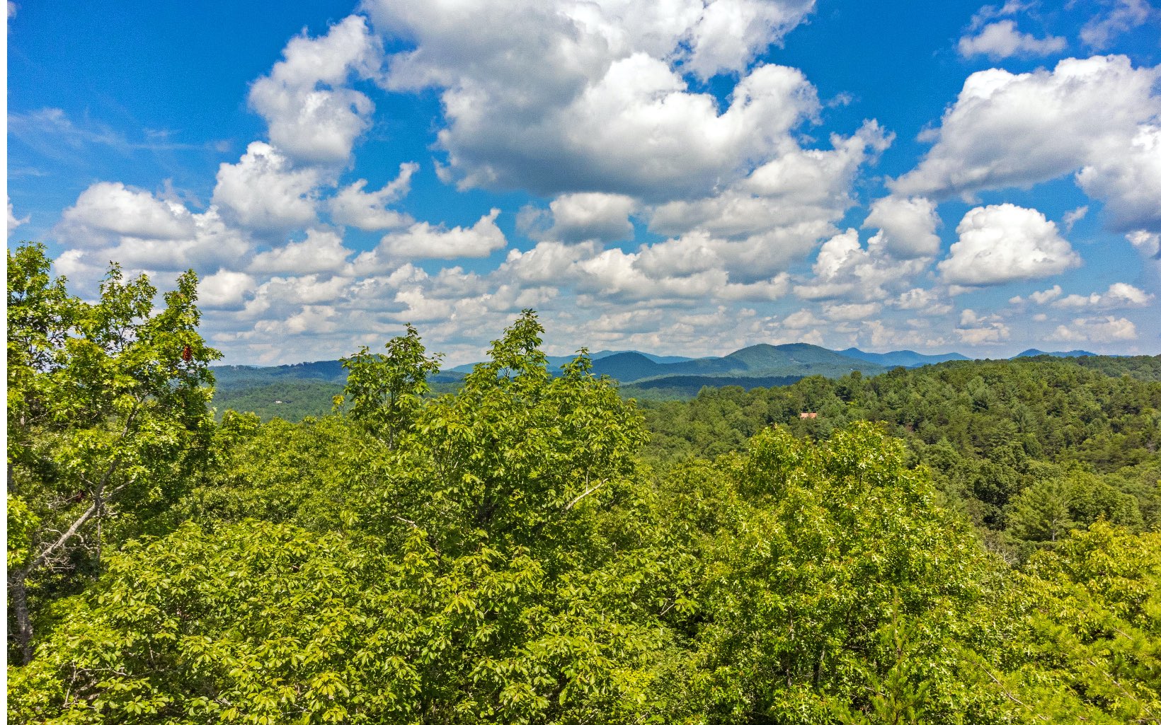 5-ac Turkey Trot Road Morganton, GA 30560 - Photo 2 of 4 Additional View