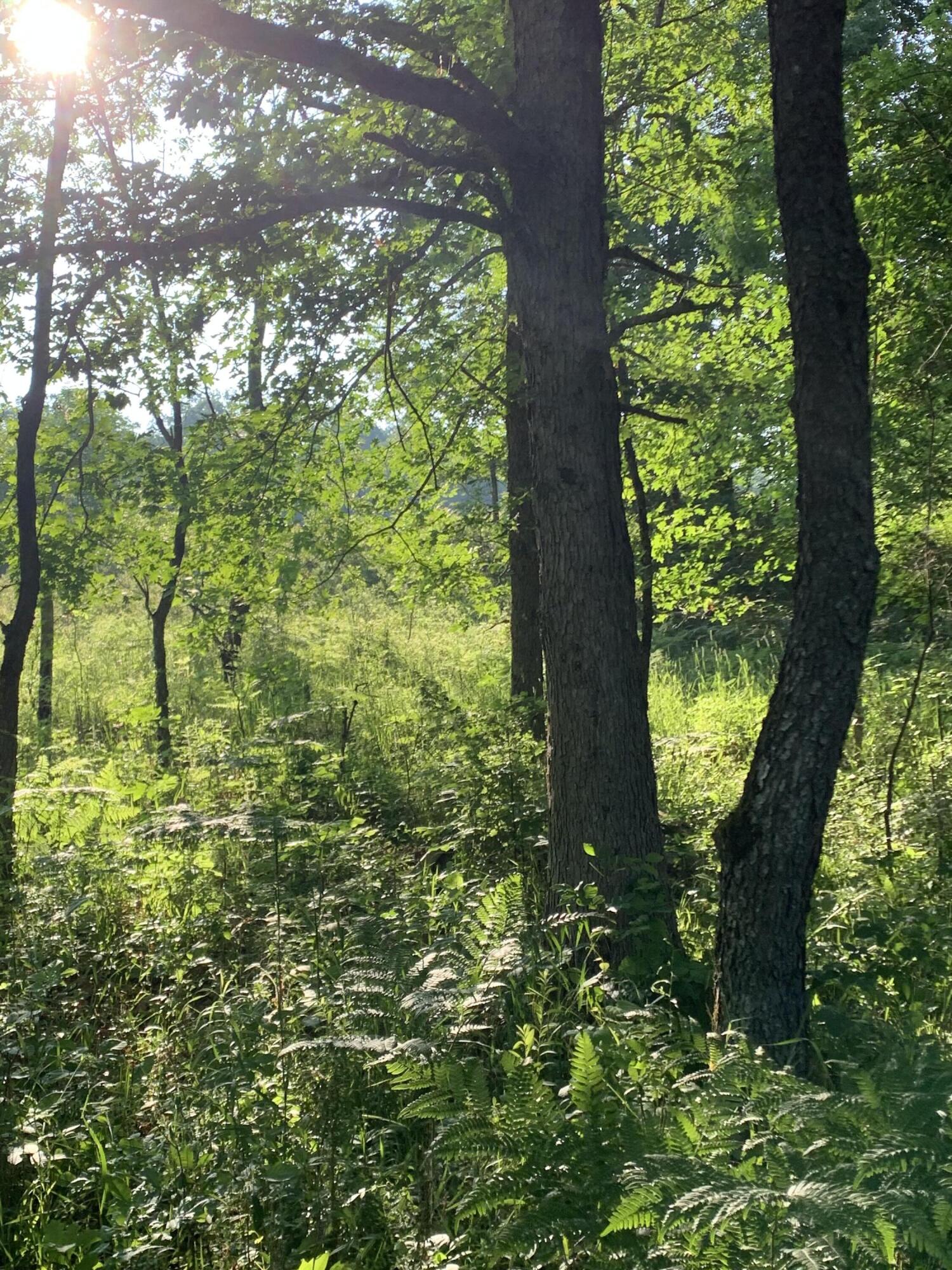 14662-16 16 Mile Road Rodney, MI 49342 - Photo 25 of 50 IMG_4796