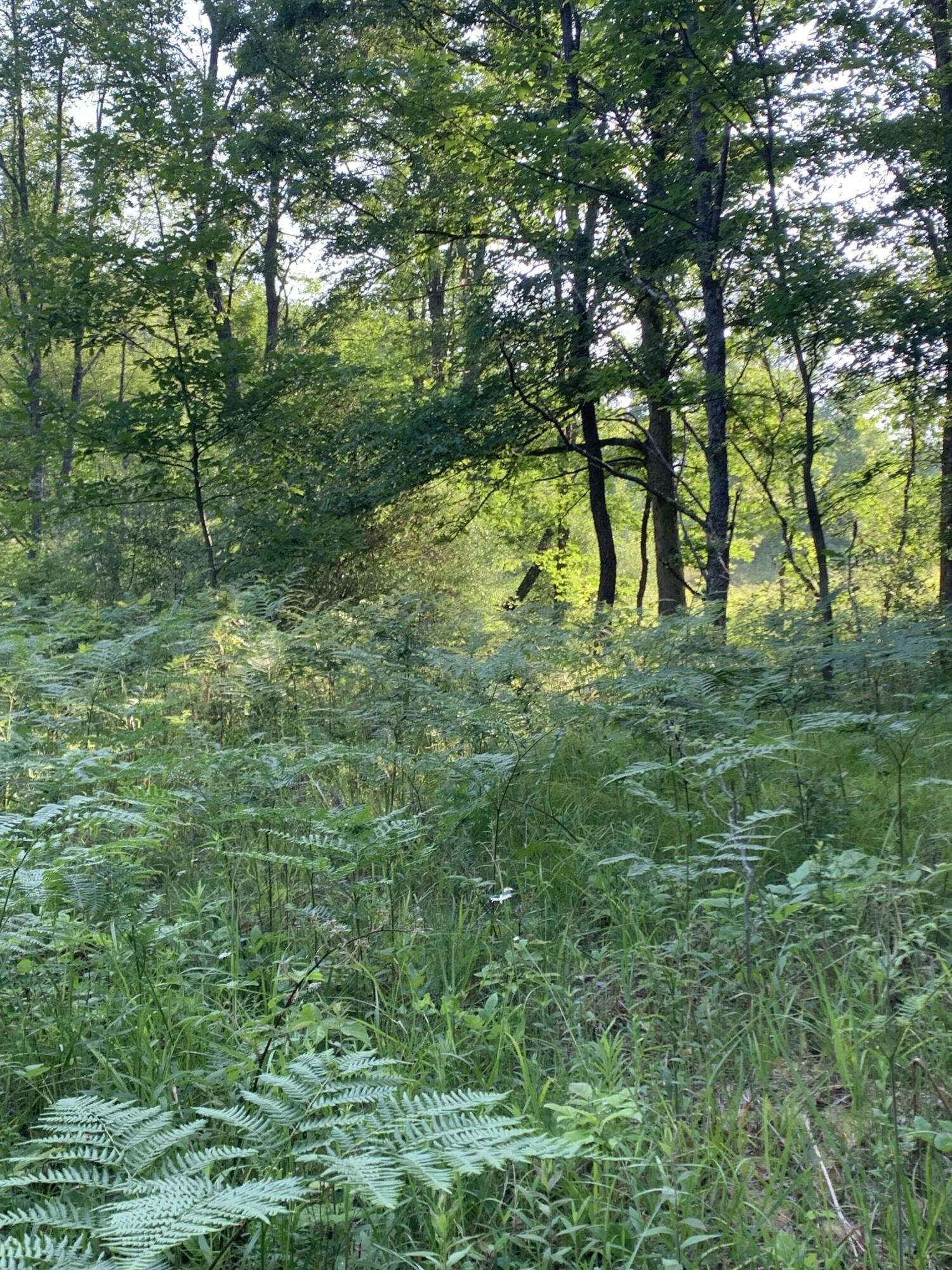 14662-16 16 Mile Road Rodney, MI 49342 - Photo 28 of 50 IMG_4793