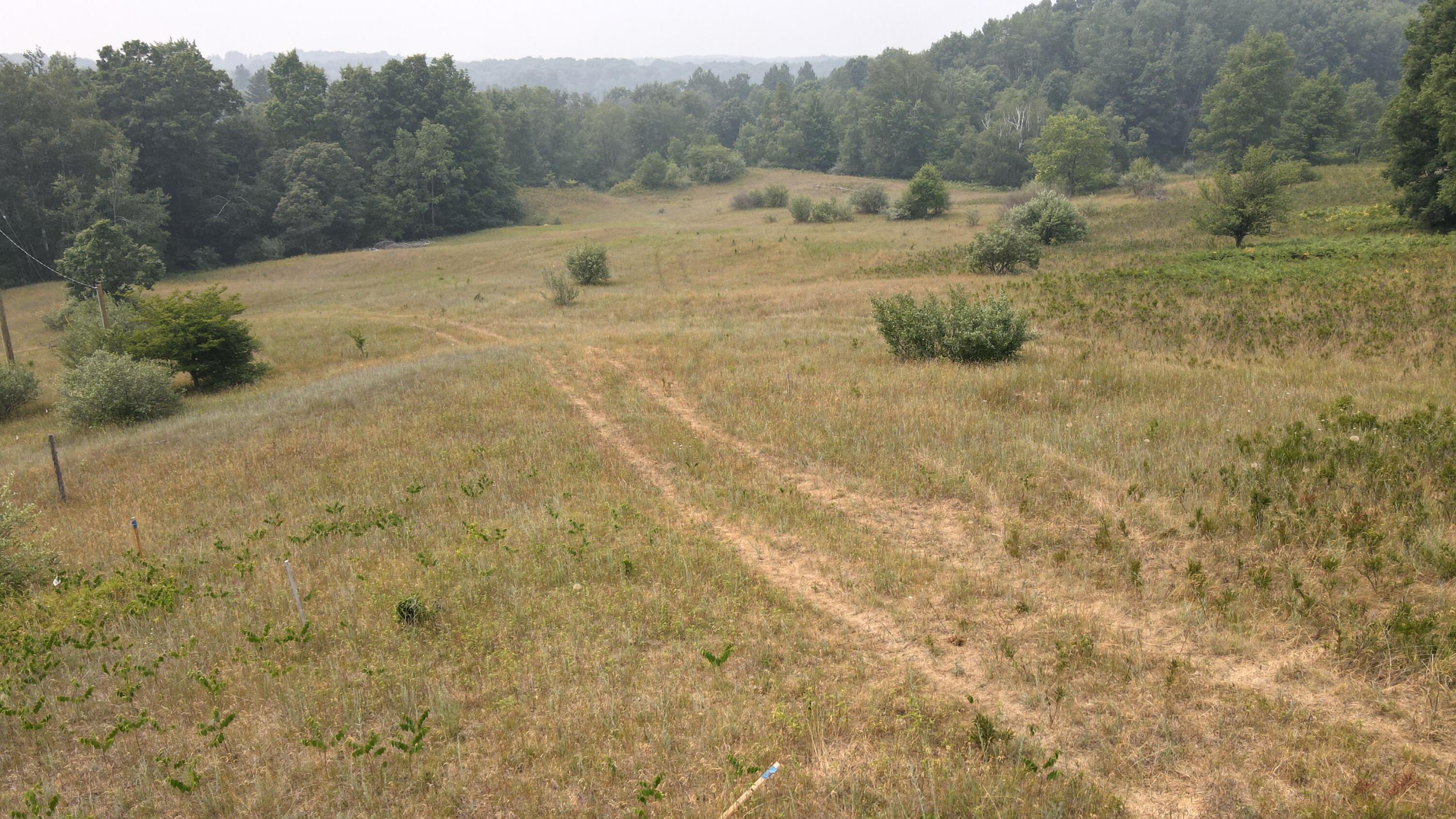 14662-16 16 Mile Road Rodney, MI 49342 - Photo 49 of 50 DJI_0200