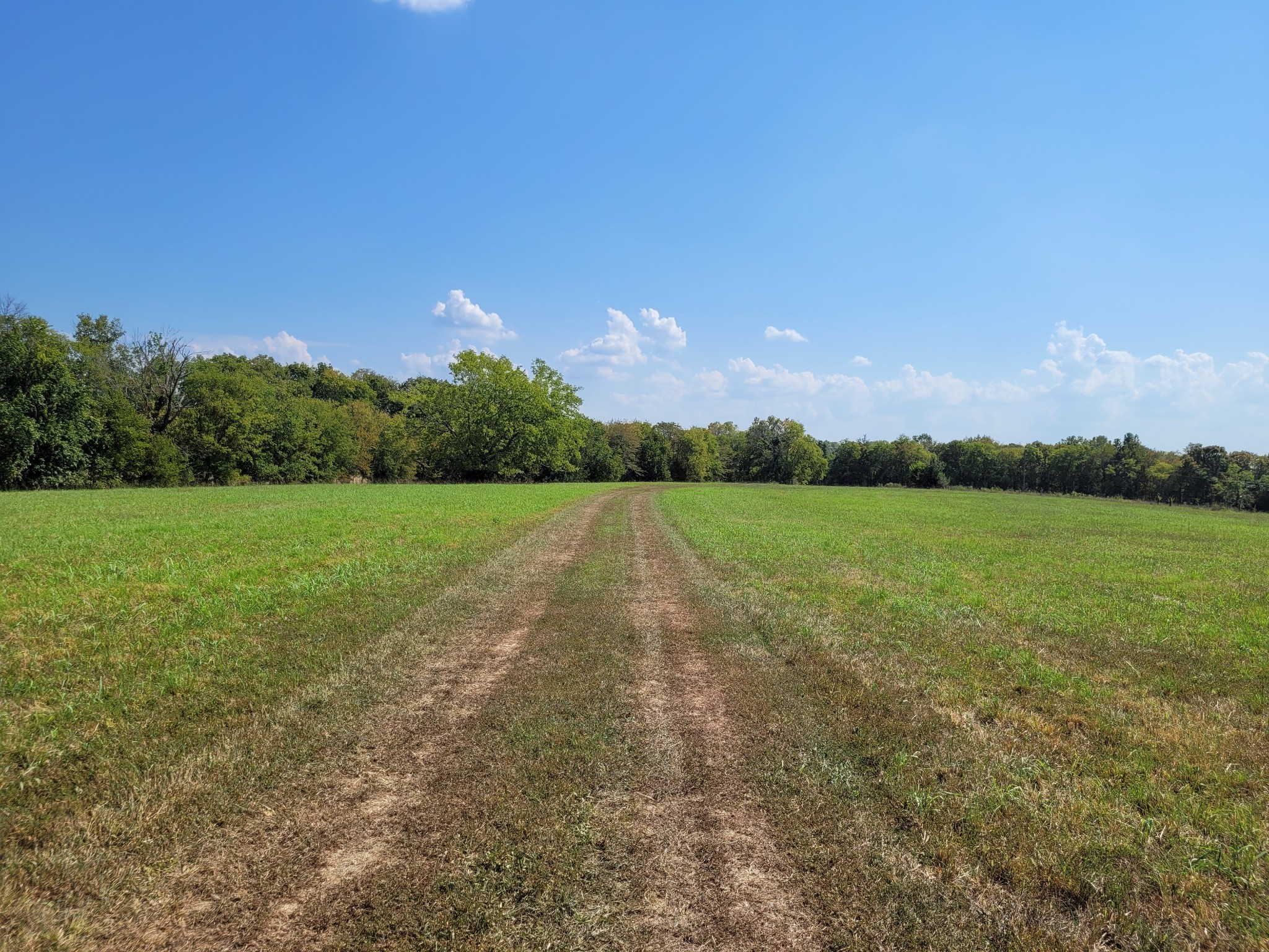 1289 Old Hopewell Road Bethpage, TN 37022 - Photo 15 of 42 Gallery Image 15