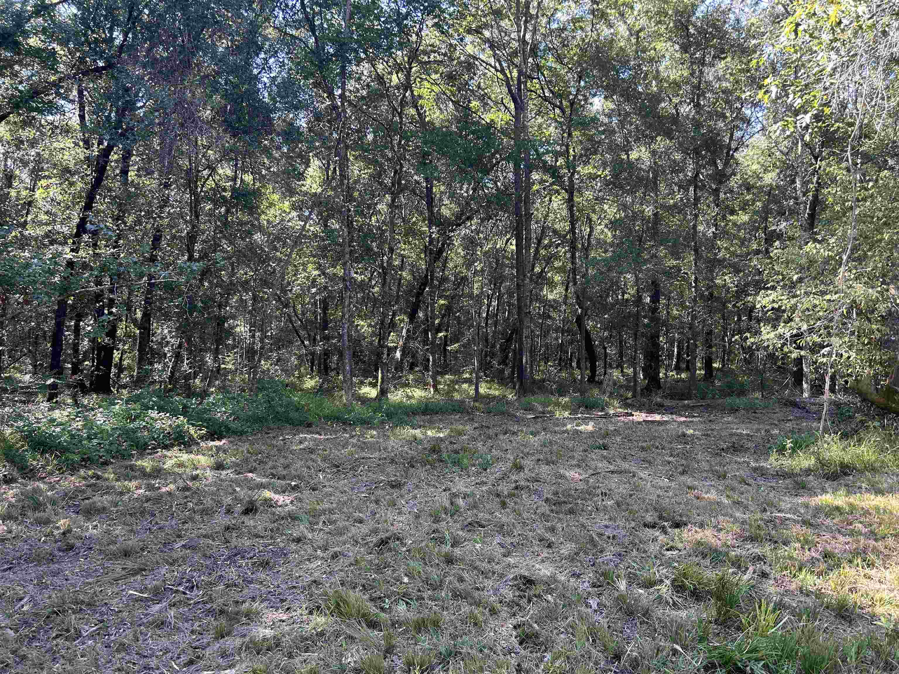 0 McGuire Road Liberty, TX 77575 - Photo 8 of 40