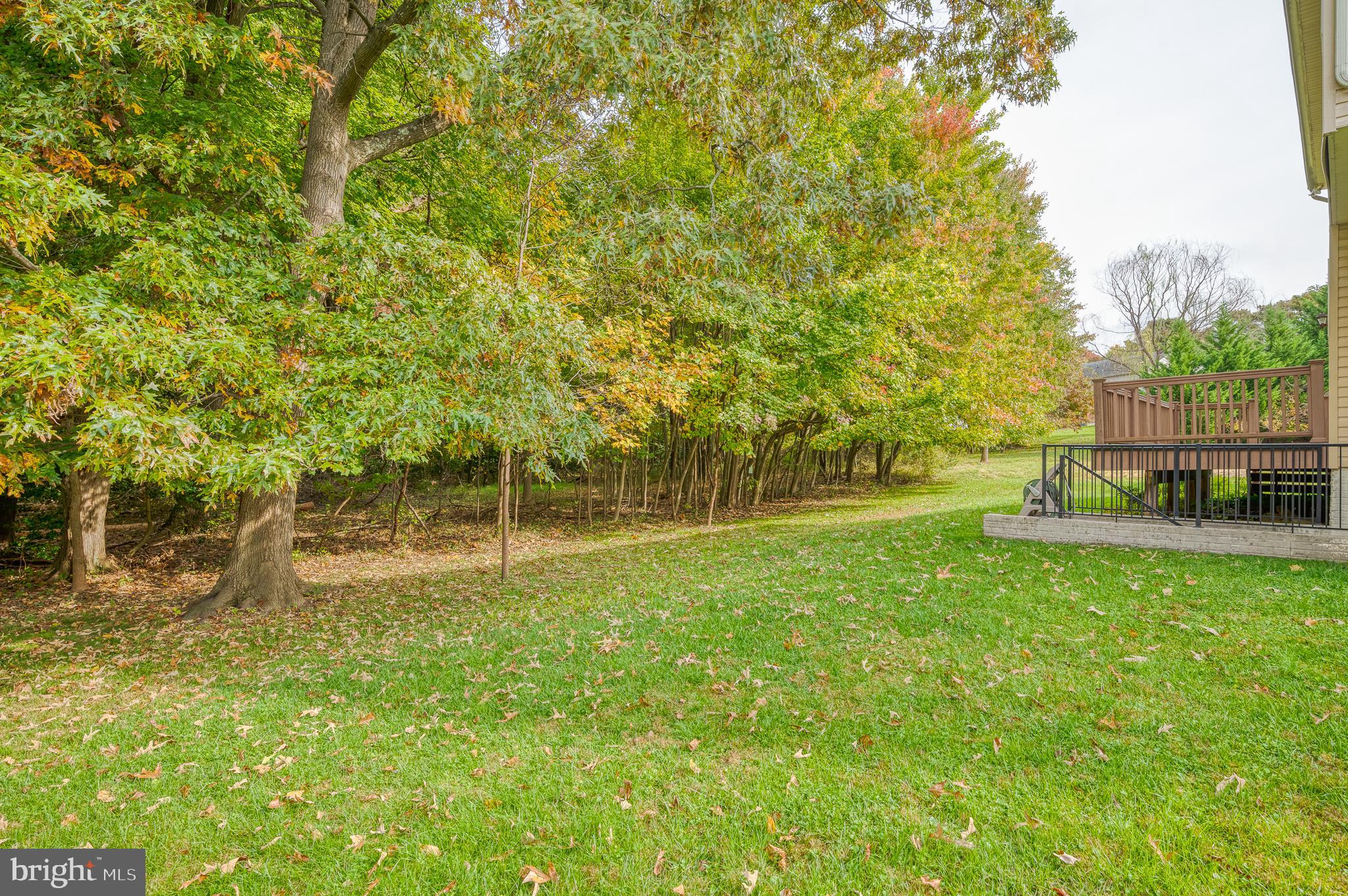 8 Turning Leaf Court Rosedale, MD 21237 - Photo 56 of 61 Gallery Image 56