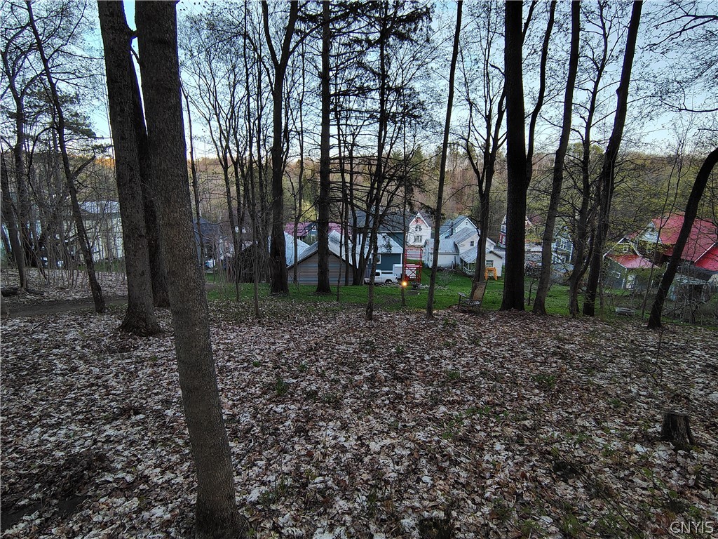 429 Main Street Cold Brook, NY 13324 - Photo 47 of 50