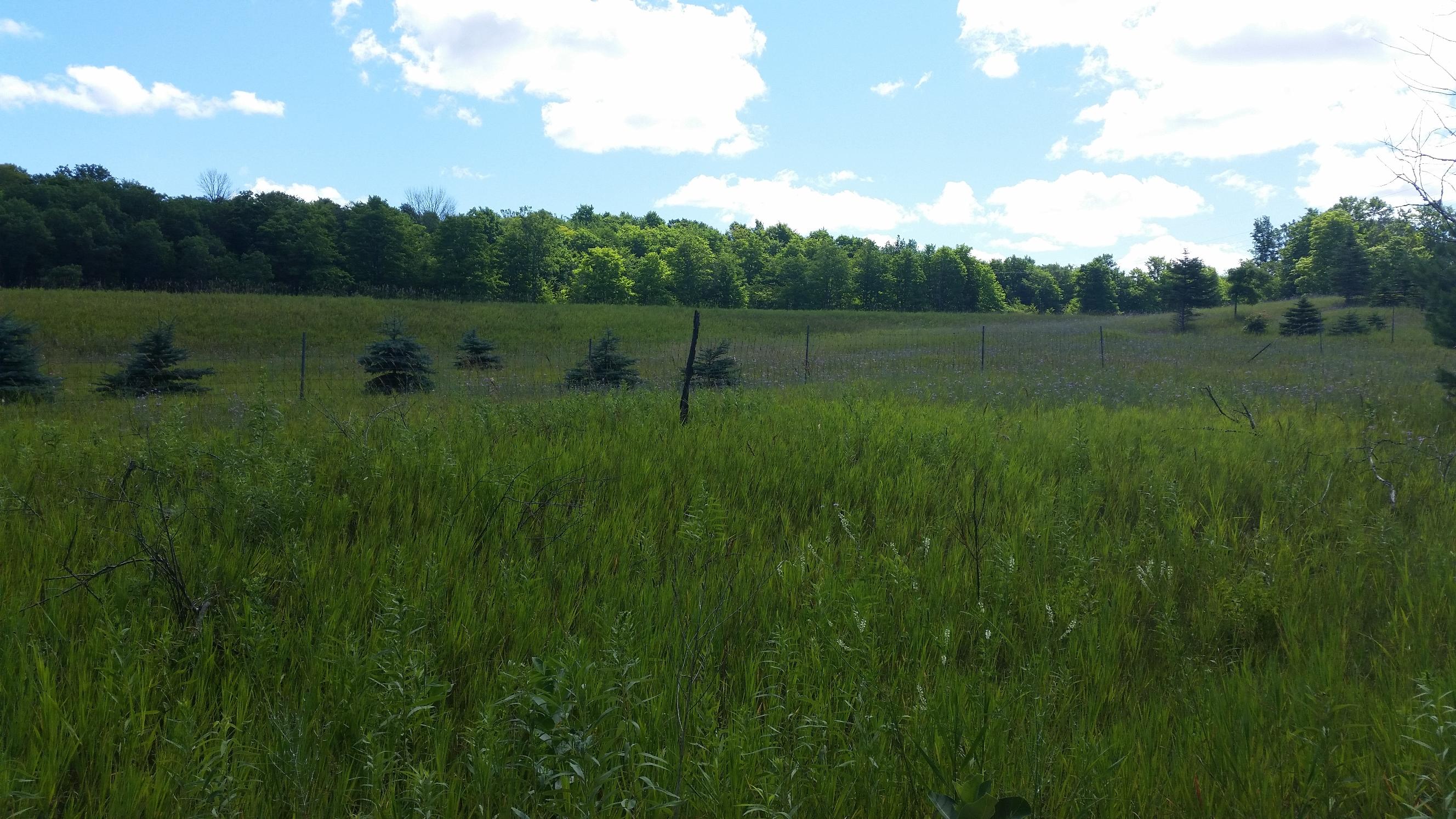0 Rondo Road Wolverine, MI 49799 - Photo 23 of 41 Gallery Image 23