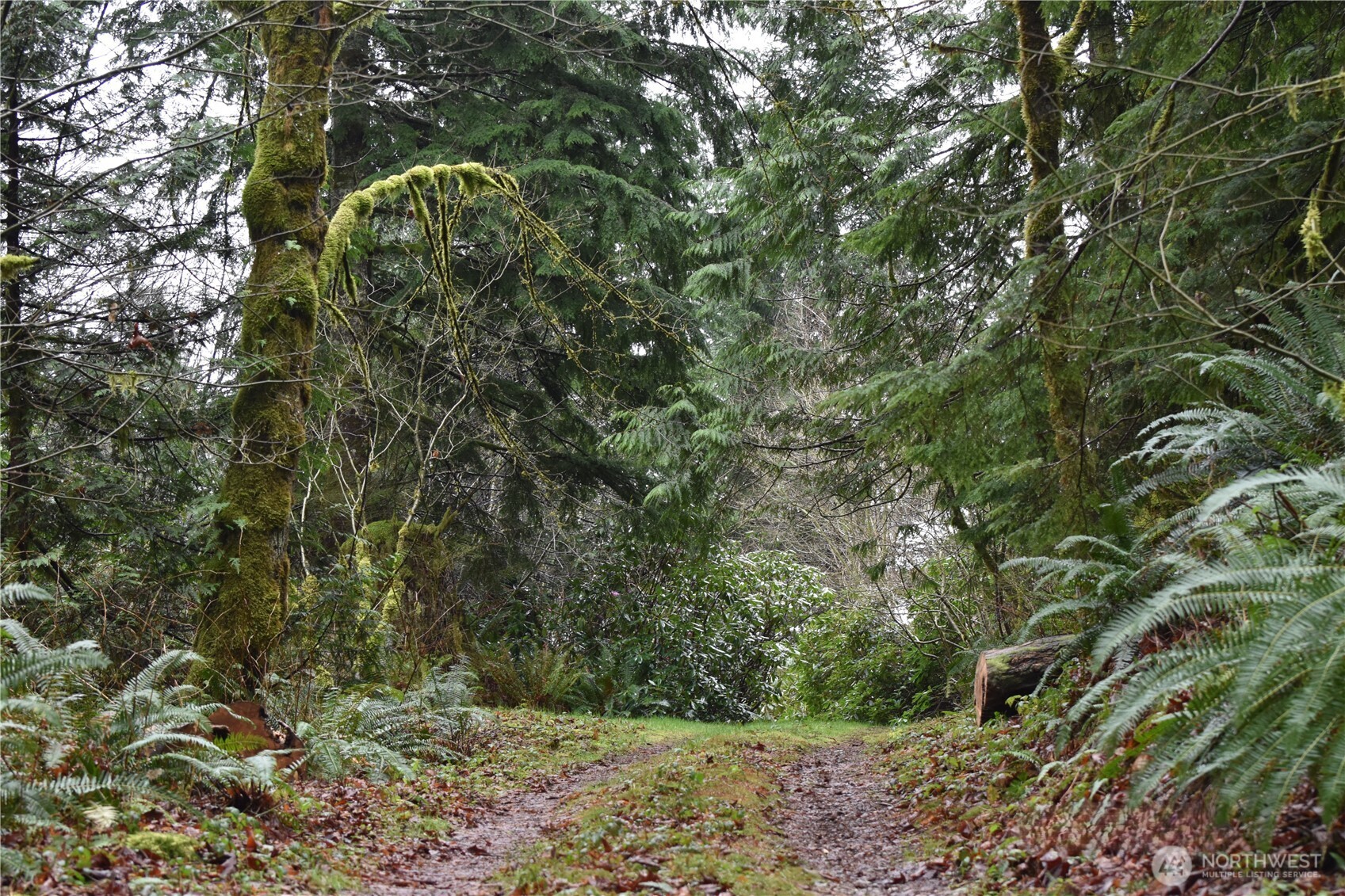 15327 May Creek Road Gold Bar, WA 98251 - Photo 22 of 35 a view of a yard