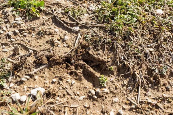 $279,000 | 3 Northwest 1st Lane, Lamar, MO 64759