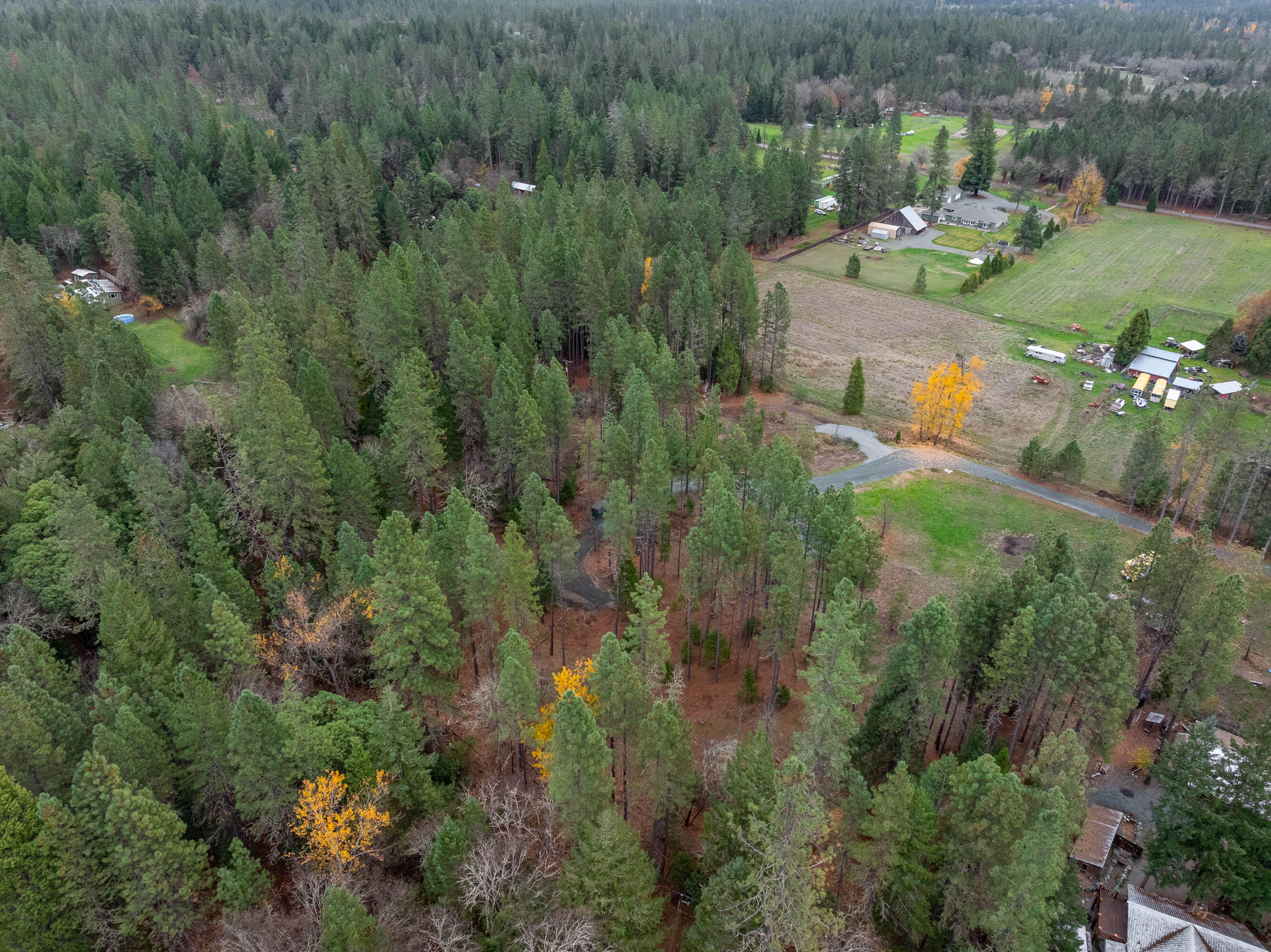 1740 Pleasant Creek Road Rogue River, OR 97537 - Photo 7 of 20 DRONE (4 of 7)