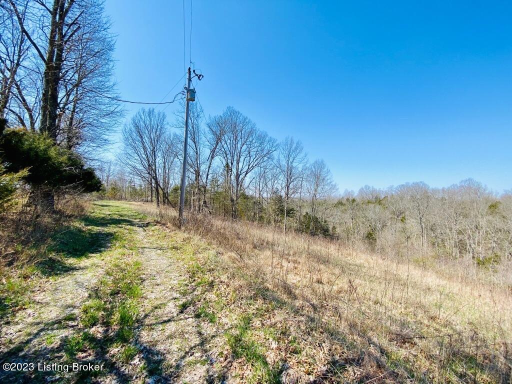 2723 Tatum Ridge Road Willisburg, KY 40078 - Photo 5 of 42 005_79791038
