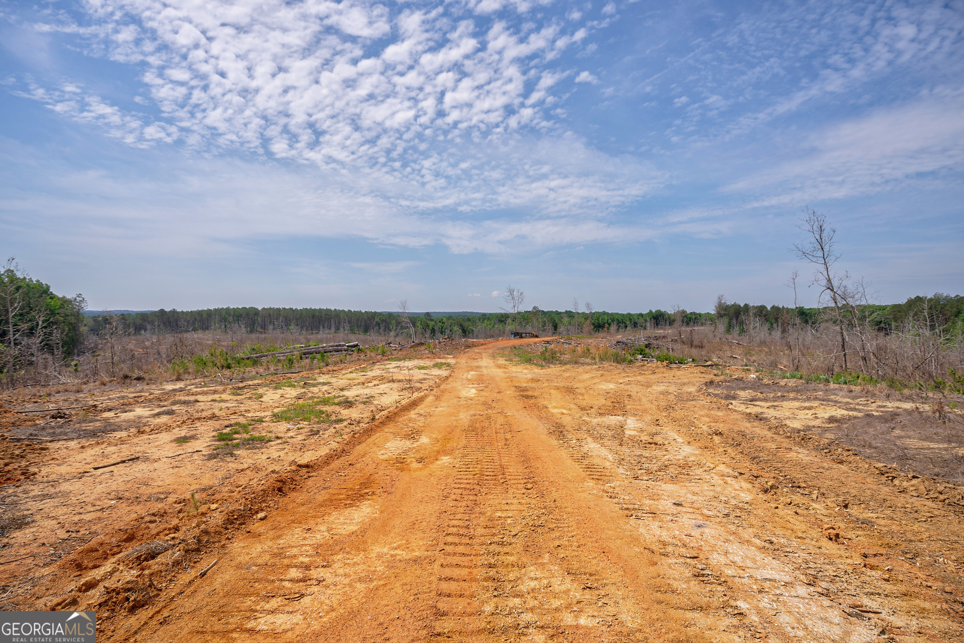 0 Gene Smith Road Carlton, GA 30627 - Photo 10 of 29 a view of a lake view